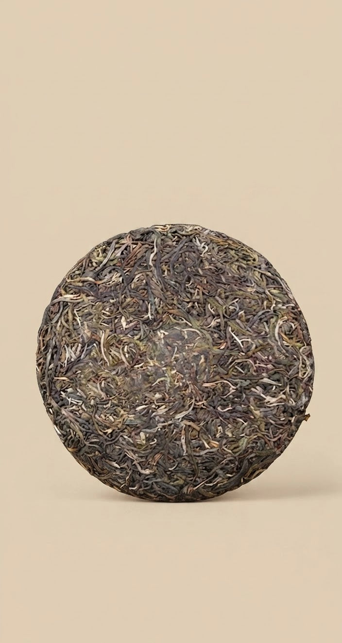 Sheng Pu-Erh – Man Zhuan 2023