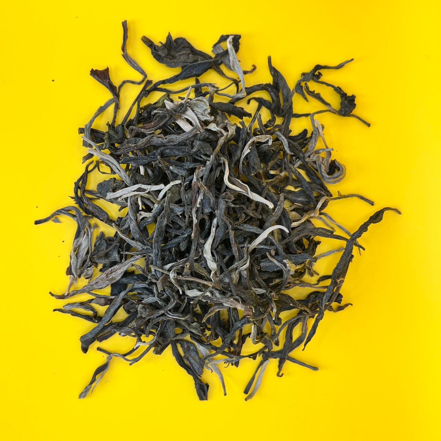 Lao Banzhang Sheng Pu-Erh 2025 – Spring Harvest Loose Leaf