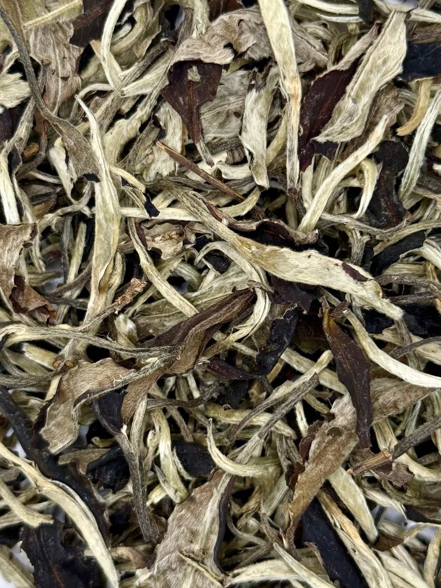 White Tea