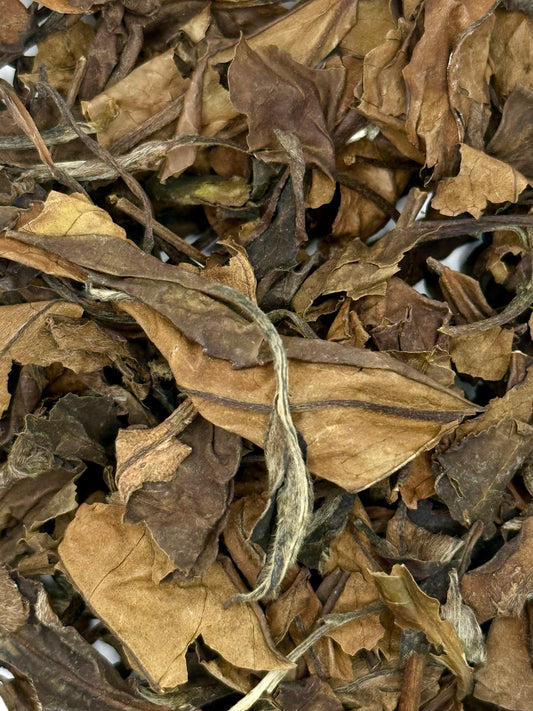 Fuding Lao Bai Cha – Gereifter Shoumei Weißtee, 7 Jahre gelagert