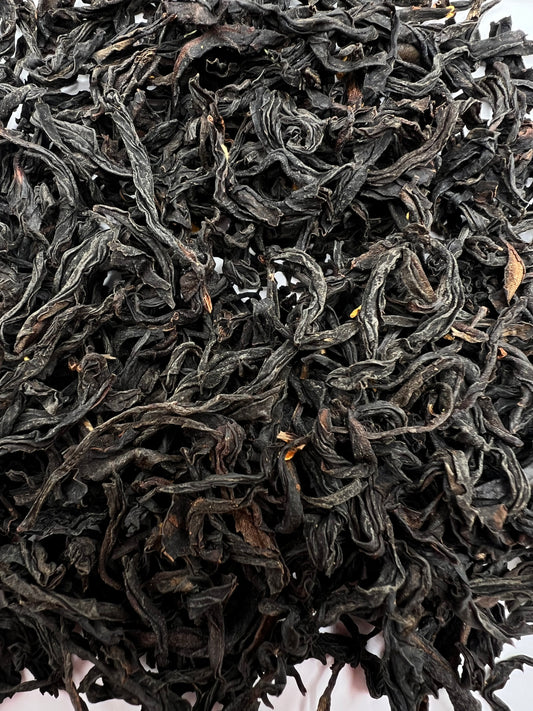 Osmanthus Rottee