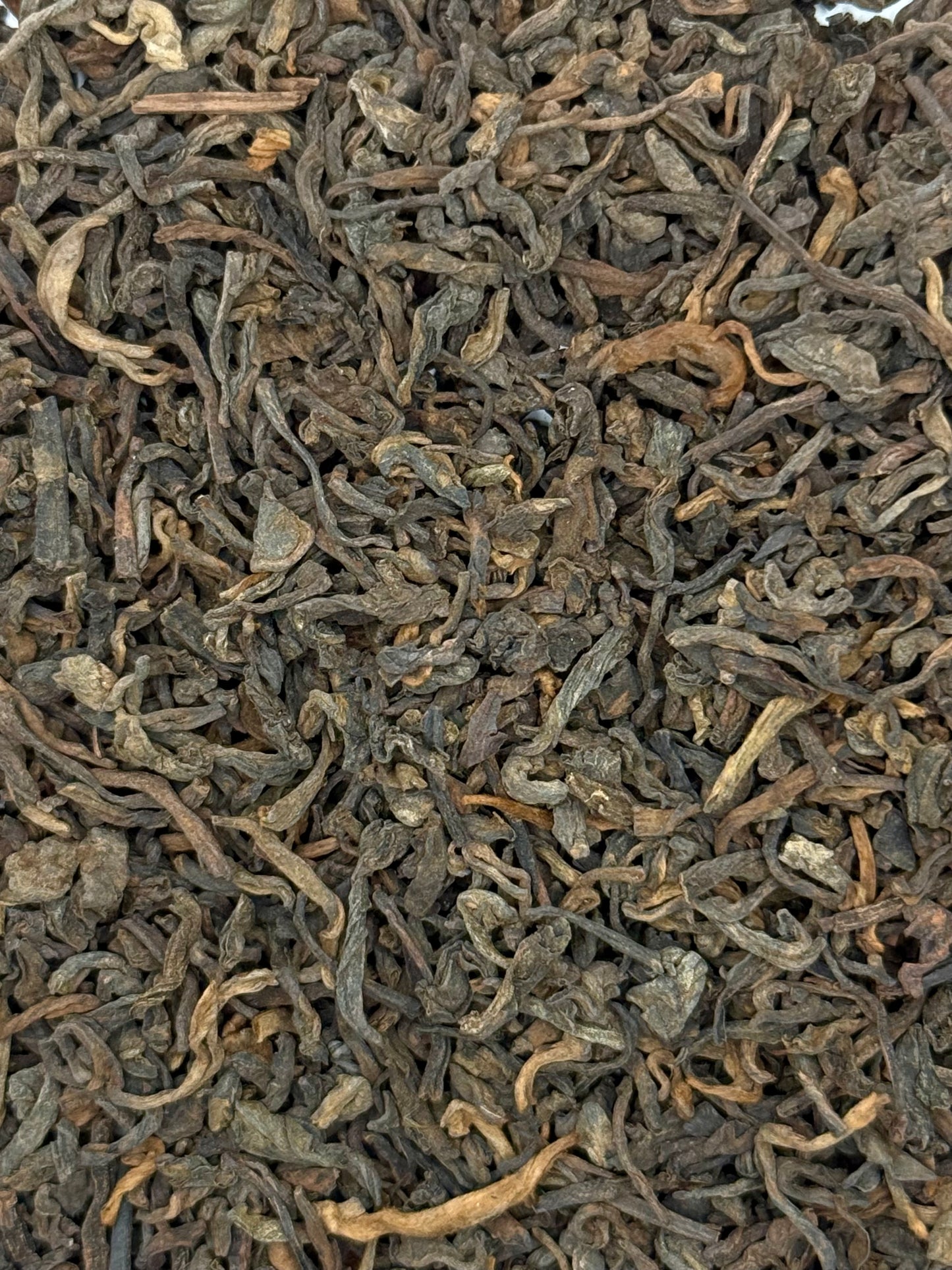 Active Tee Set 4 x 50g