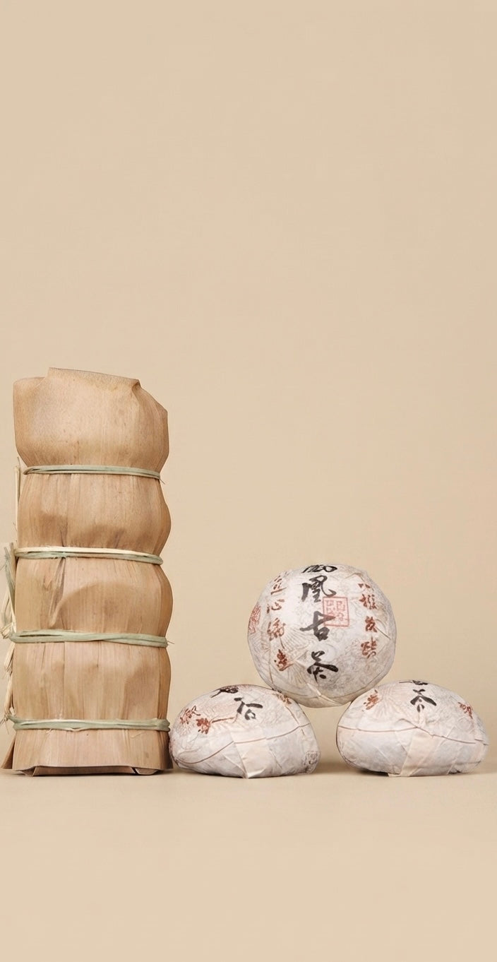 Shou Pu-Erh Tuo Cha 2021