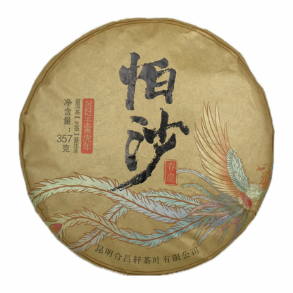 Pasha Sheng Pu-Erh 2022 – First Spring, Große Teebäume, Honigduft, 357g