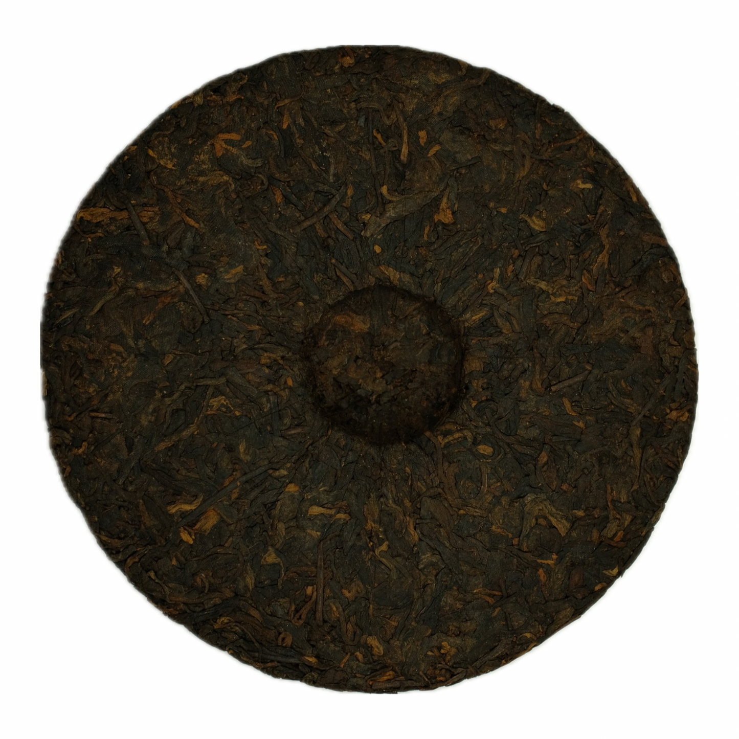 Yiwu Jin Hao Shu Pu-Erh 2022 – Spring Harvest, Premium Golden Tips, 357g