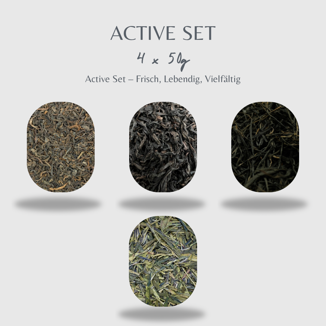 Active Tee Set 4 x 50g