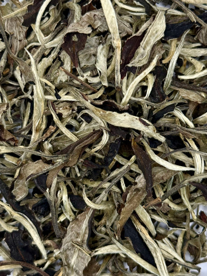 Anfänger Starterpack 6 x 25g