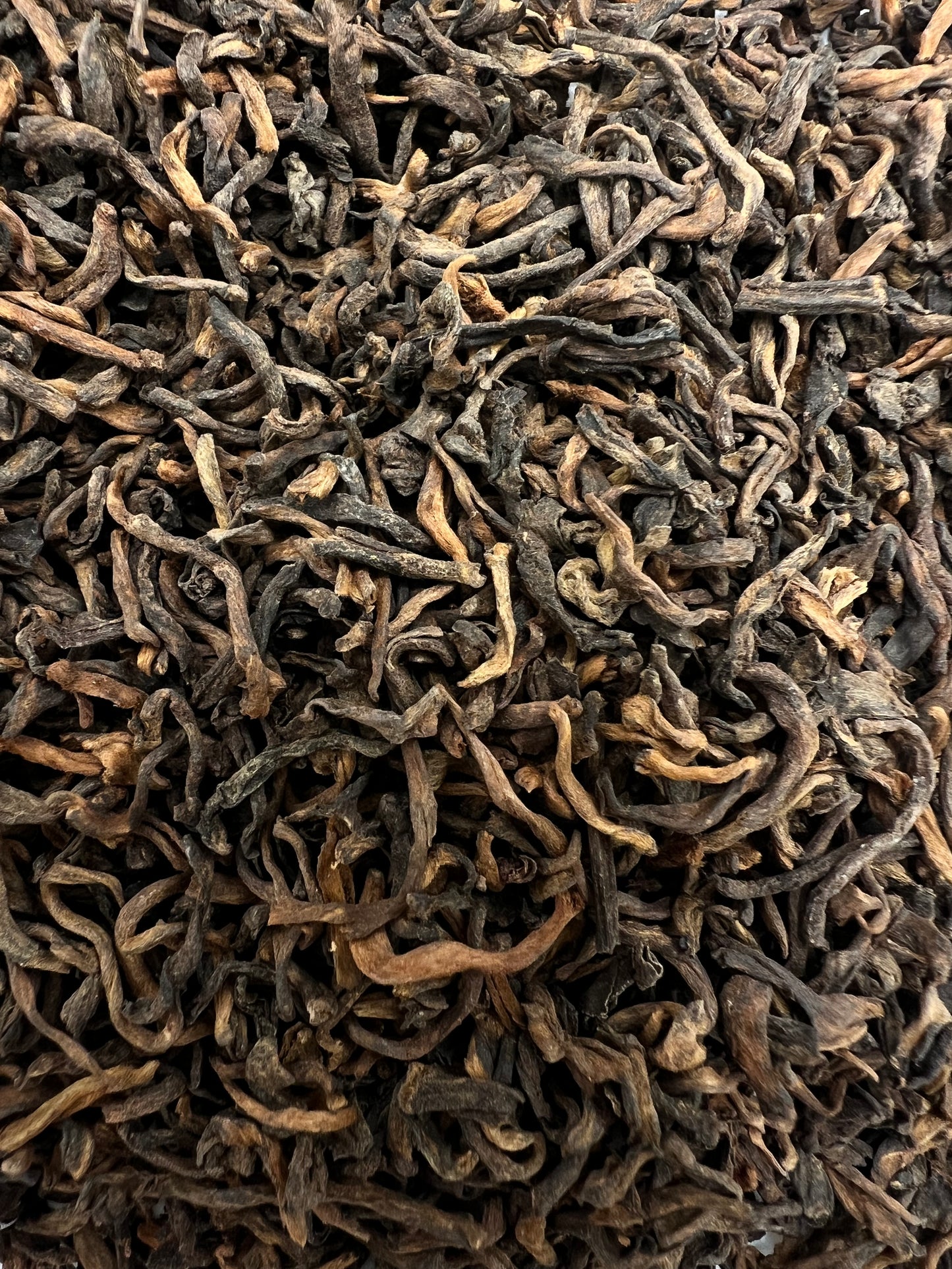 Gongting Shu Pu-Erh Ancient-Tree , Golden Tips, Premium Fermentation