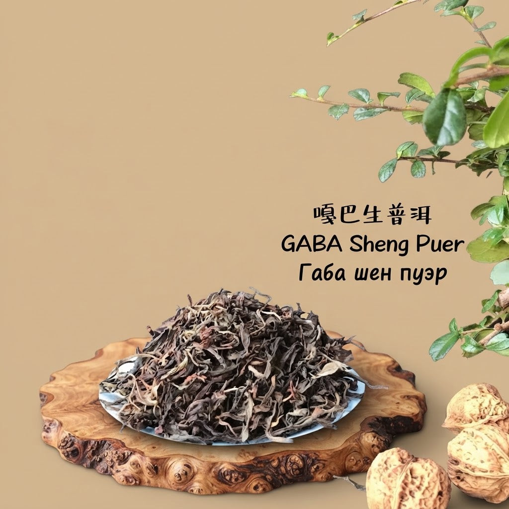 GABA Sheng Puerh