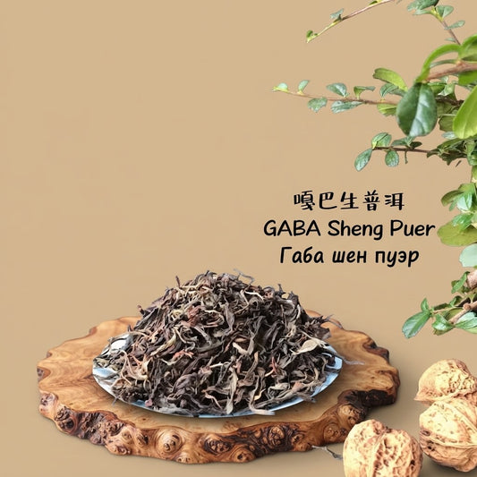 GABA Sheng Puerh
