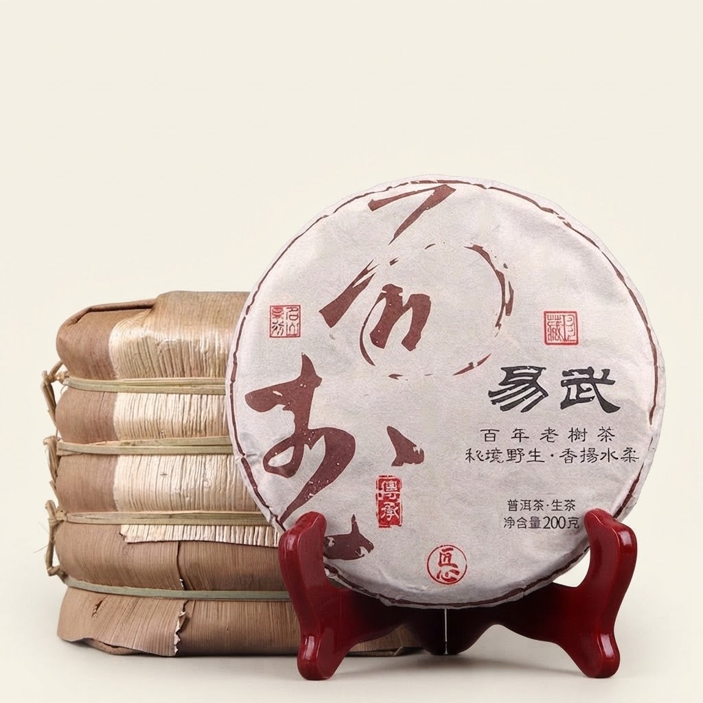 Yiwu Gushu Sheng Pu-erh "Century-Old Trees" 2023